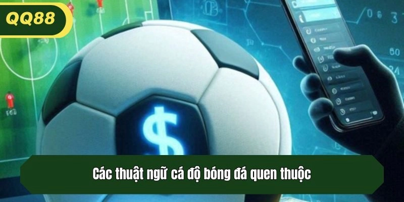 Các thuật ngữ cá độ bóng đá quen thuộc