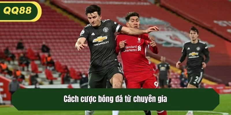 Cách cược bóng đá từ chuyên gia