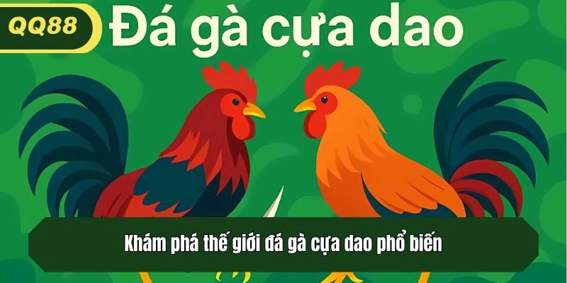 Khám phá thế giới đá gà cựa dao phổ biến