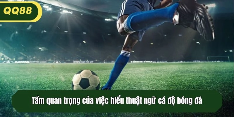 Tầm quan trọng của việc hiểu thuật ngữ cá độ bóng đá