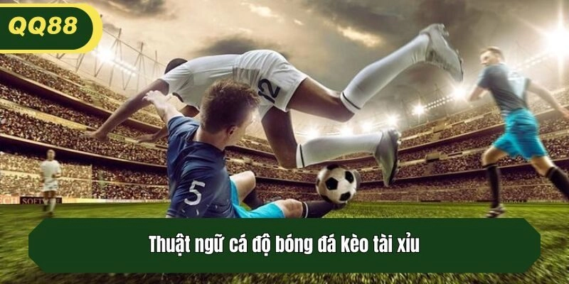 Thuật ngữ cá độ bóng đá kèo tài xỉu