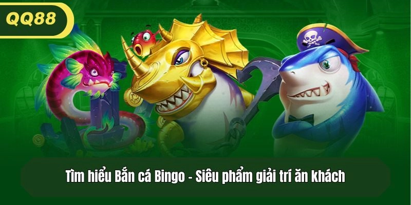 Tìm hiểu Bắn cá Bingo - Siêu phẩm giải trí ăn khách